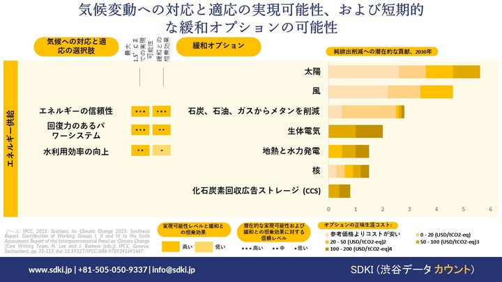 future outlook of SiC power semiconductors