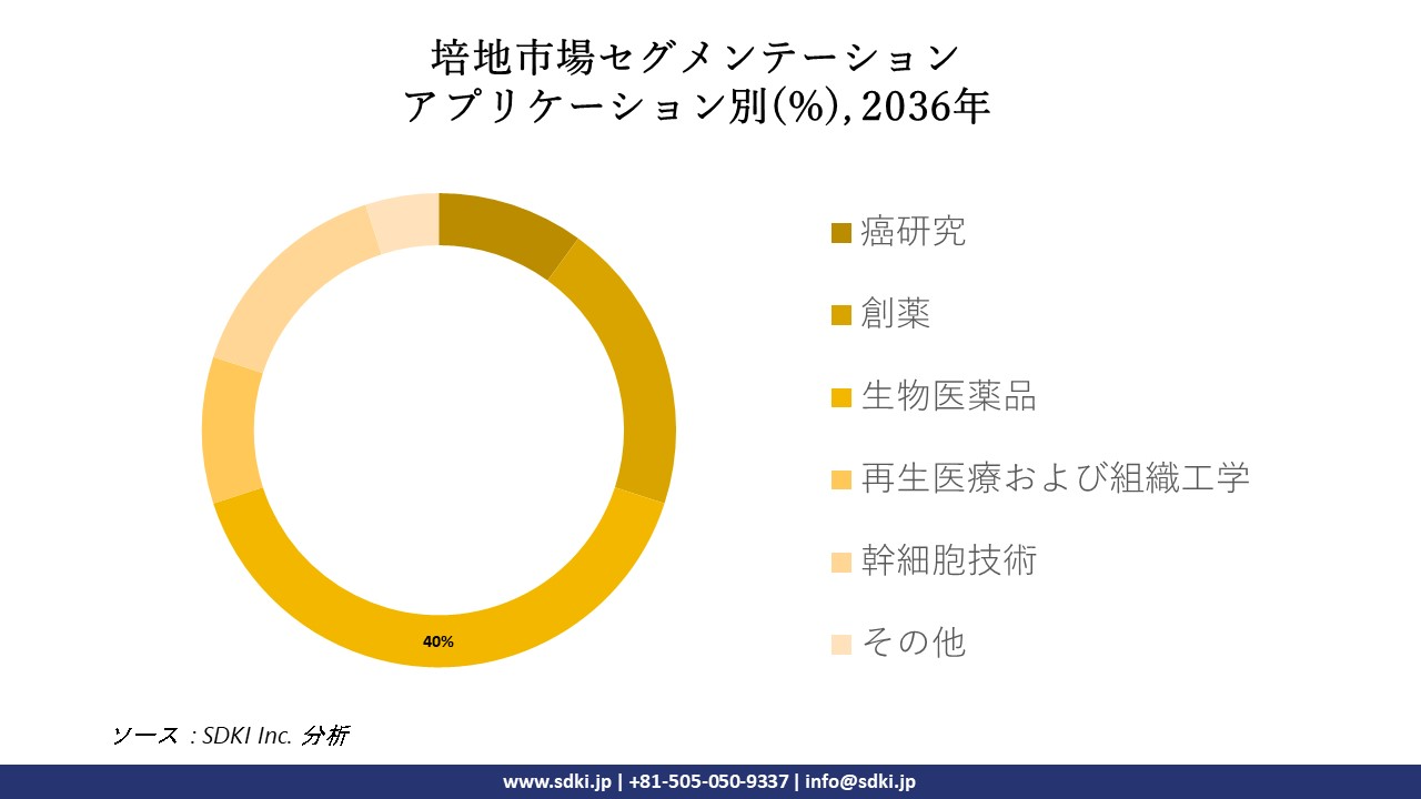 1708062356_1761.global-culture-media-segmentation-research.webp