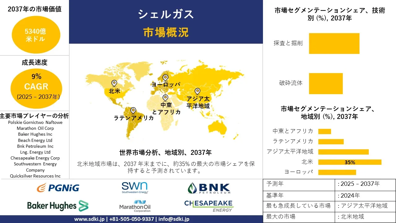 1731657432_8556.global-shale-gas-market-survey-report.webp